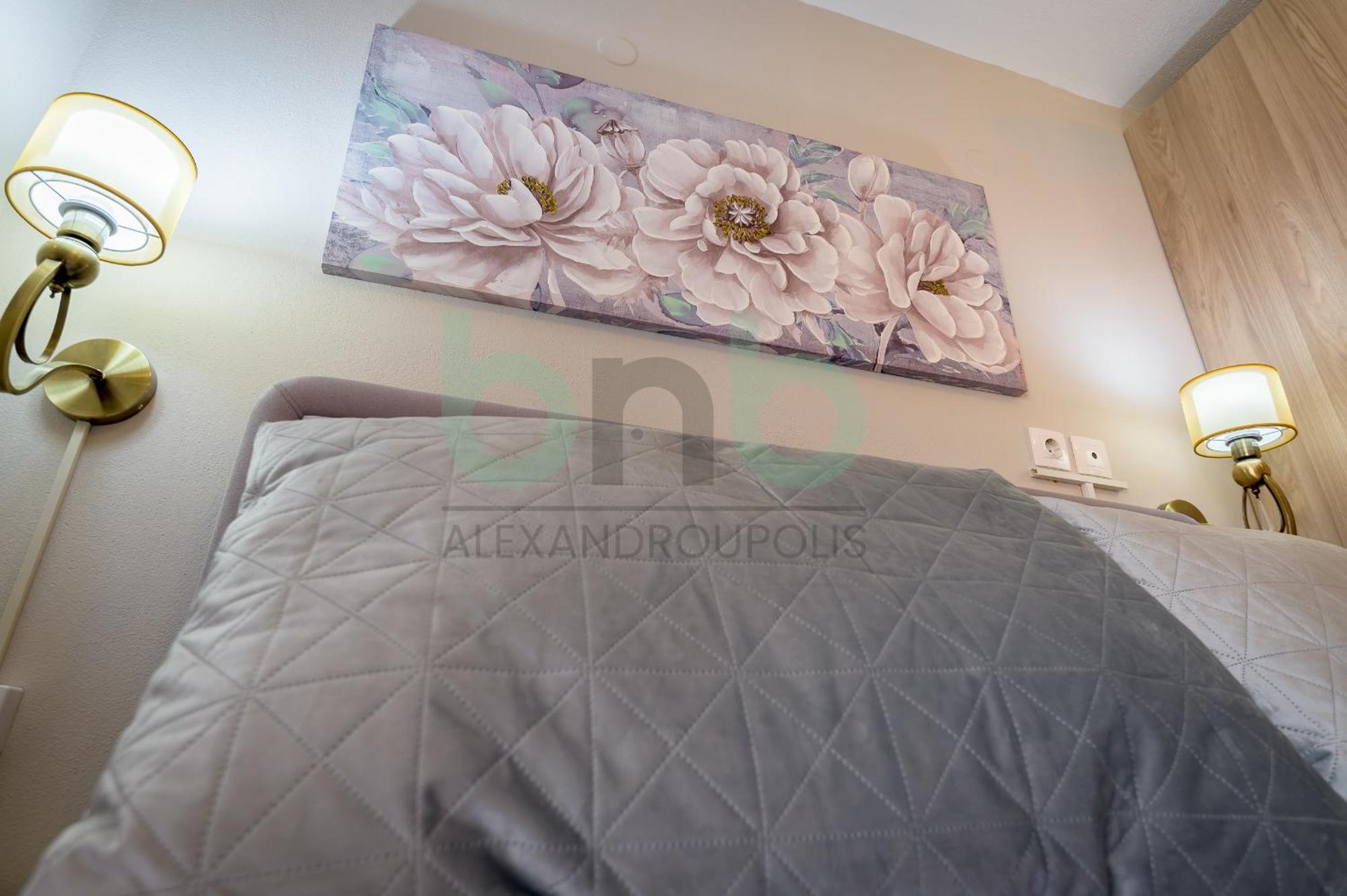 Anastasia's Comfort Apartment